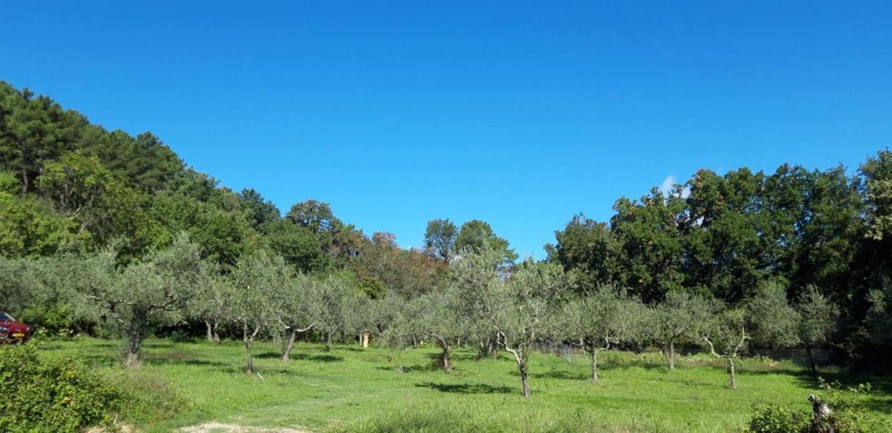 Agricampeggio Borgo Agna San Giustino Valdarno Exteriör bild